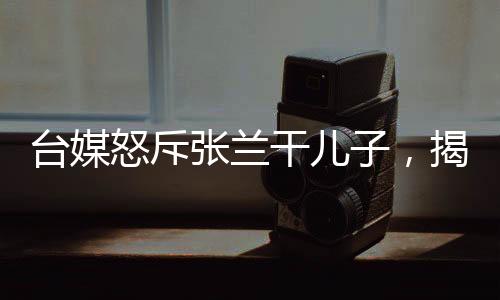 台媒怒斥张兰干儿子，揭示事件背后的真相