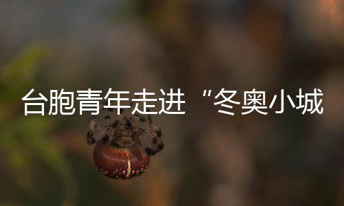 台胞青年走进“冬奥小城”崇礼  共享冰雪激情
