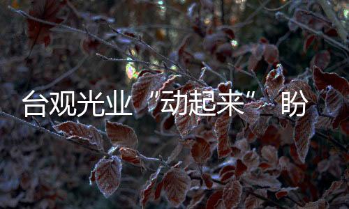 台观光业“动起来” 盼农历新年后迎陆客