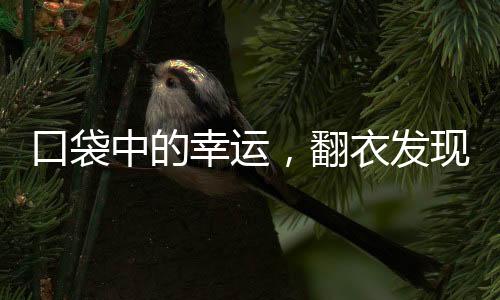 口袋中的幸运，翻衣发现巨额彩票，赢得1800万大奖