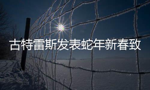 古特雷斯发表蛇年新春致辞，共筑未来愿景，携手迎向新的繁荣时代