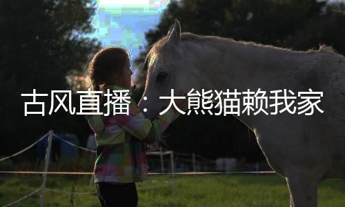 古风直播：大熊猫赖我家不走了！