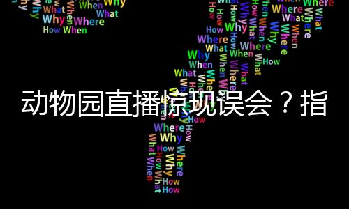 动物园直播惊现误会？指狗为虎风波揭秘，园方回应