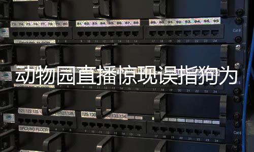 动物园直播惊现误指狗为虎事件