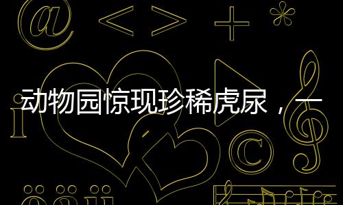 动物园惊现珍稀虎尿，一瓶售价高达五十元——独特生态体验背后的探寻