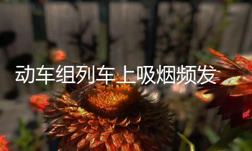 动车组列车上吸烟频发 处罚大快人心：有人被拘留