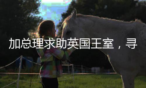 加总理求助英国王室，寻求国际支持与合作共赢