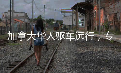 加拿大华人驱车远行，专程赴美国观看热门动画电影哪吒2