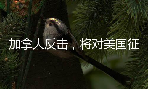 加拿大反击，将对美国征收25%关税，贸易战再度升级