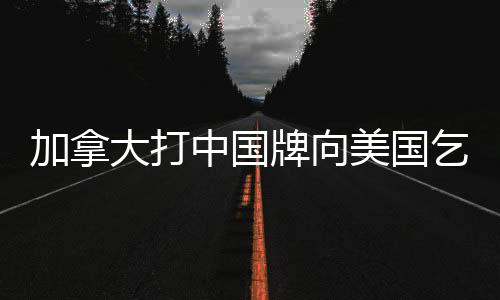 加拿大打中国牌向美国乞怜，背后的复杂因素与影响分析
