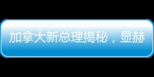 加拿大新总理揭秘，显赫背景与未来展望