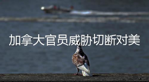加拿大官员威胁切断对美电力供应，两国能源关系面临严峻挑战