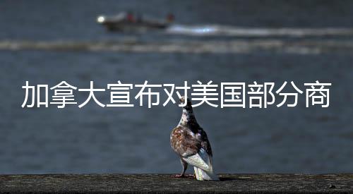 加拿大宣布对美国部分商品征收25%关税，影响与后续分析