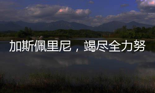加斯佩里尼，竭尽全力努力赢得意甲冠军