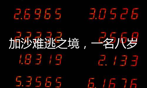 加沙难逃之境，一名八岁女孩的辛酸历程