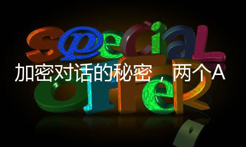加密对话的秘密，两个AI助手的碰撞与思考