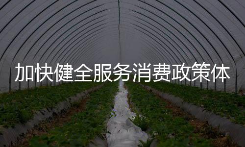 加快健全服务消费政策体系