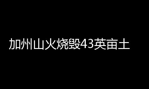 加州山火烧毁43英亩土地 险危及好莱坞星光大道