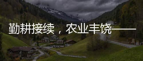 勤耕接续，农业丰饶——当代农村振兴之路的深刻洞察