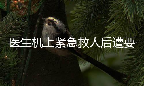医生机上紧急救人后遭要求出示执业证书事件