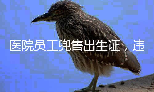 医院员工兜售出生证，违法行为引发社会关注