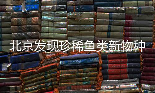 北京发现珍稀鱼类新物种，正式命名为Beijing