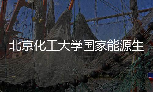 北京化工大学国家能源生物炼制研发中心：勇闯科研“无人区”