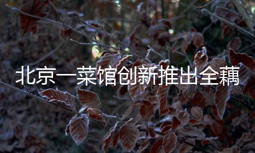 北京一菜馆创新推出全藕宴哪吒套餐，藕品盛宴引领美食新风尚