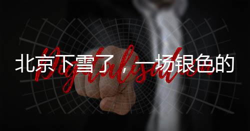 北京下雪了，一场银色的冬之盛宴