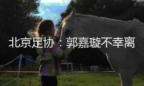 北京足协：郭嘉璇不幸离世 已组织专家分析训练赛视频