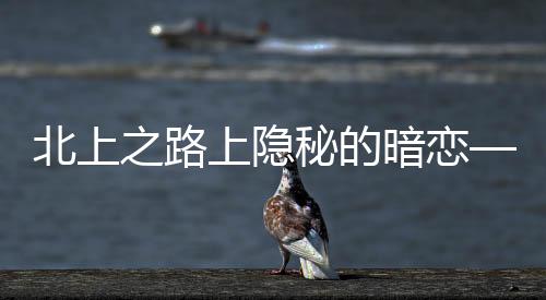 北上之路上隐秘的暗恋——邵星池与夏凤华的情感纠葛