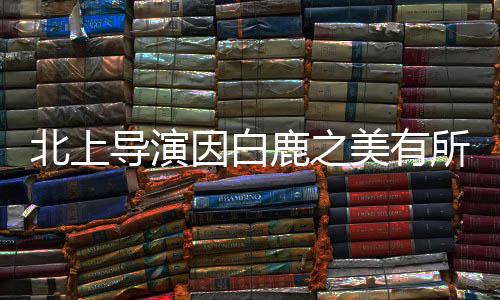 北上导演因白鹿之美有所顾虑——幕后故事深度解读