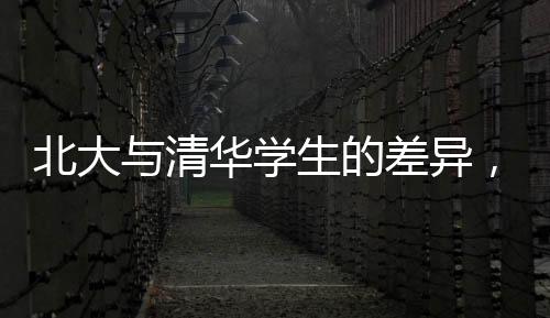 北大与清华学生的差异，深入解析两校独特的文化特质