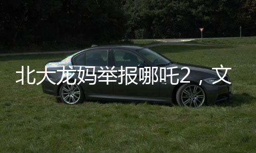 北大龙妈举报哪吒2，文化产品与道德底线的争议