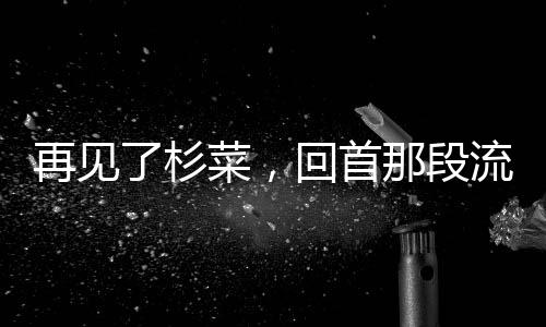 再见了杉菜，回首那段流转于时光的情感往事