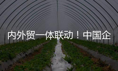 内外贸一体联动！中国企业集体出手