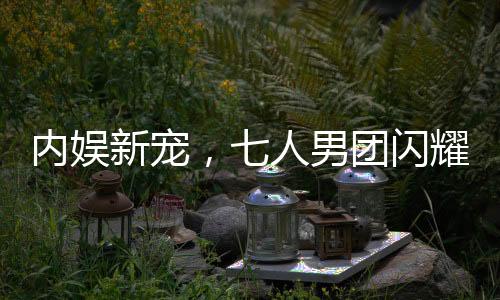 内娱新宠，七人男团闪耀登场，新一代偶像力量的汇聚