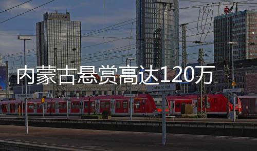 内蒙古悬赏高达120万，寻找关键线索以解开悬而未决的十二起命案真相揭秘之旅！警方联手社会力量开启新一轮命案攻坚行动，守护边疆百姓平安生活！诚邀社会各界的目光聚焦于这场全民侦查活动。警方特别征集民意及线索，全力打击犯罪活动，以实际行动捍卫法治权威，让人民群众感受到实实在在的公平正义。接下来，让我们通过一二三四五六七八九十的九个数字来解读此次行动的相关内容。