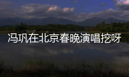 冯巩在北京春晚演唱挖呀挖呀挖，文化与艺术的融合盛宴