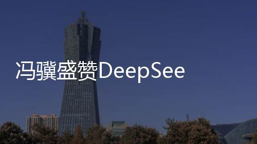 冯骥盛赞DeepSeek，顶级科技成果的典范