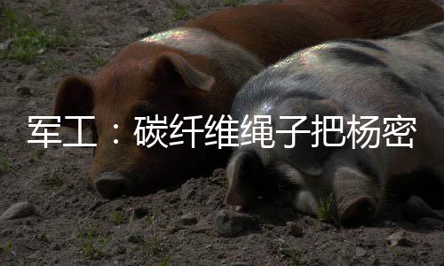 军工：碳纤维绳子把杨密绑成花