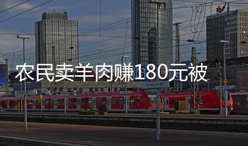 农民卖羊肉赚180元被罚10万引发争议，最终改判罚款1万元