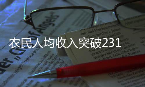 农民人均收入突破23119元，农村繁荣的新篇章