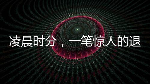 凌晨时分，一笔惊人的退税款项，超过五万元揭秘