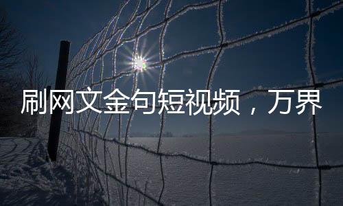 刷网文金句短视频，万界连夜抄录