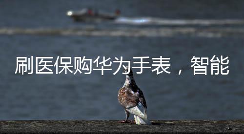 刷医保购华为手表，智能穿戴的新医保时代来临