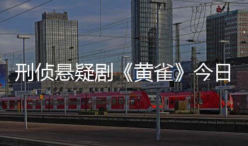 刑侦悬疑剧《黄雀》今日播出 秦岚颠覆出演黎小莲掀反扒疑案