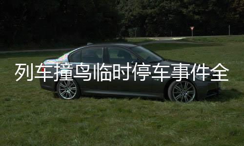 列车撞鸟临时停车事件全程解析