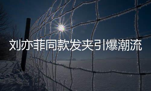 刘亦菲同款发夹引爆潮流热潮