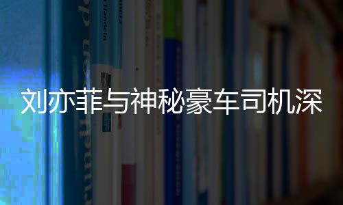 刘亦菲与神秘豪车司机深夜聚餐，事件解读与深度分析